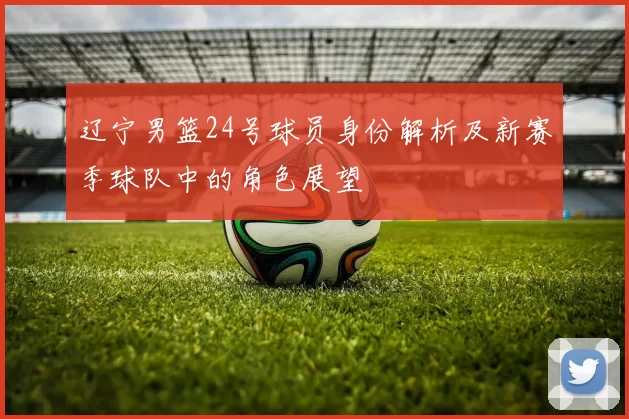 辽宁男篮24号球员身份解析及新赛季球队中的角色展望