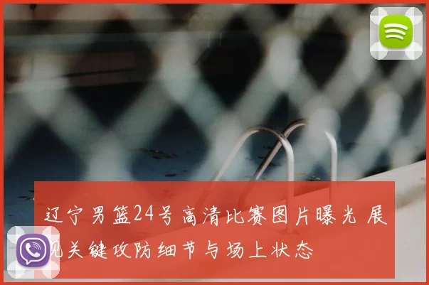 辽宁男篮24号高清比赛图片曝光 展现关键攻防细节与场上状态