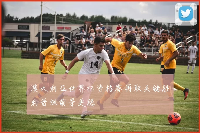 澳大利亚世界杯资格赛再取关键胜利晋级前景更稳